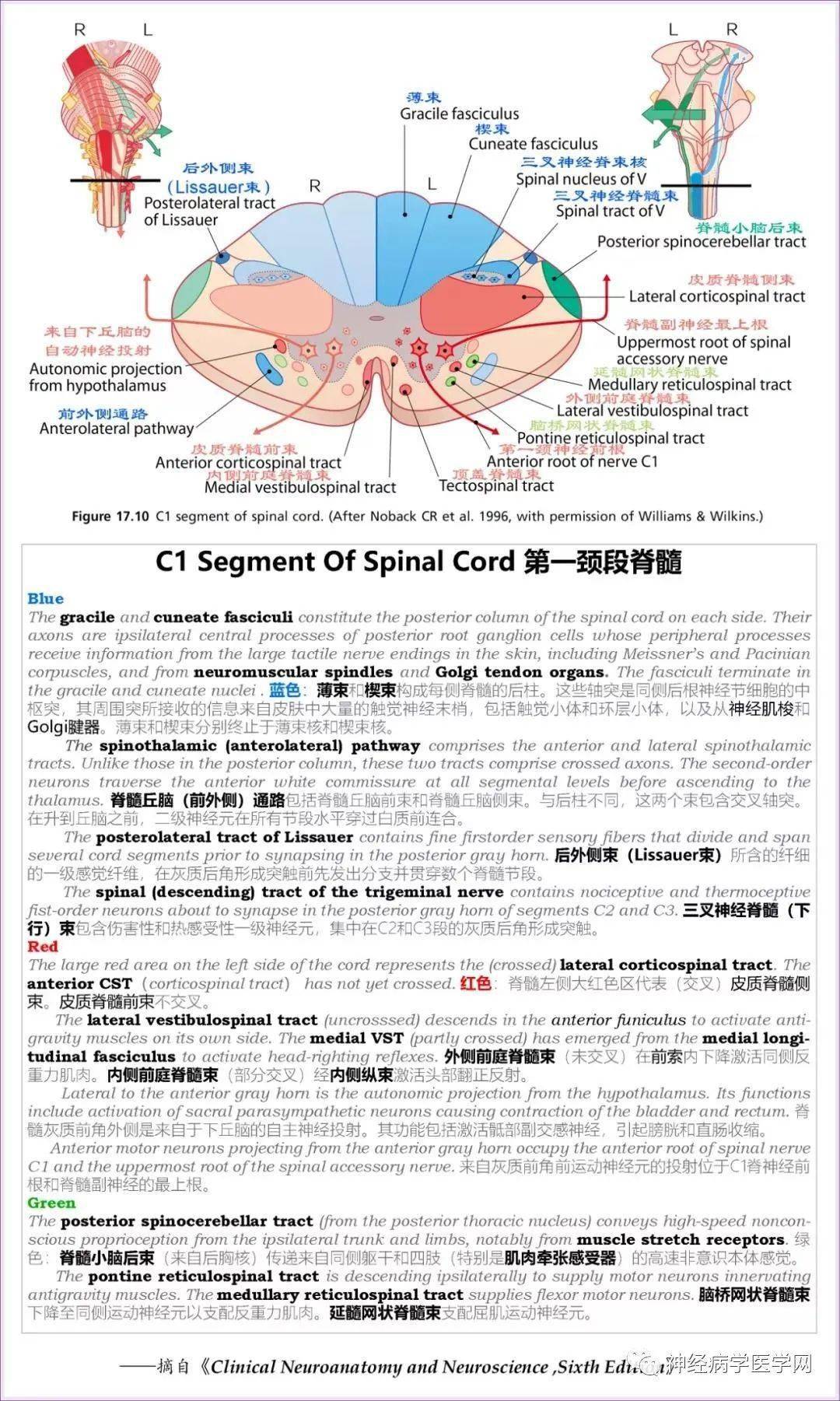 一码一肖一特早出晚_最新热门解剖落实_尊贵版35.85.20.251