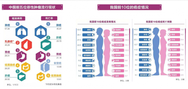 奥门一肖中100%期期准_动态解析_绝对经典_VS196.133.200.101