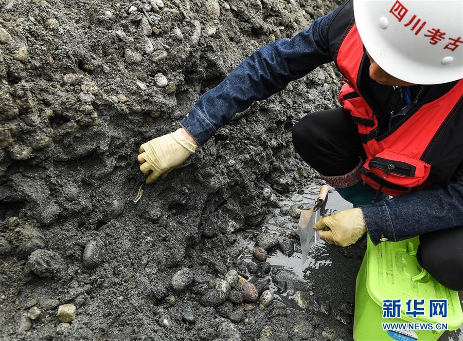 揭秘古代宝藏，四川沉银发掘最新进展揭秘之旅