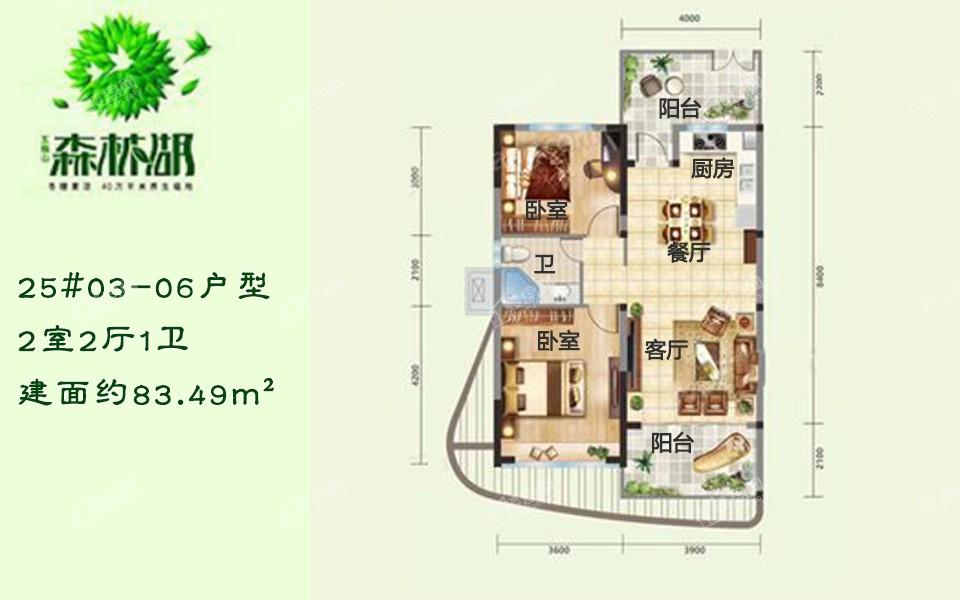 五指山森林湖房价动态及市场趋势，最新信息与购房指南